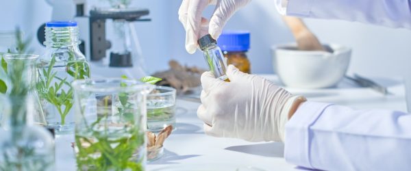 A,Small,Jar,Containing,A,Branch,Of,Herbs,Inside,Is